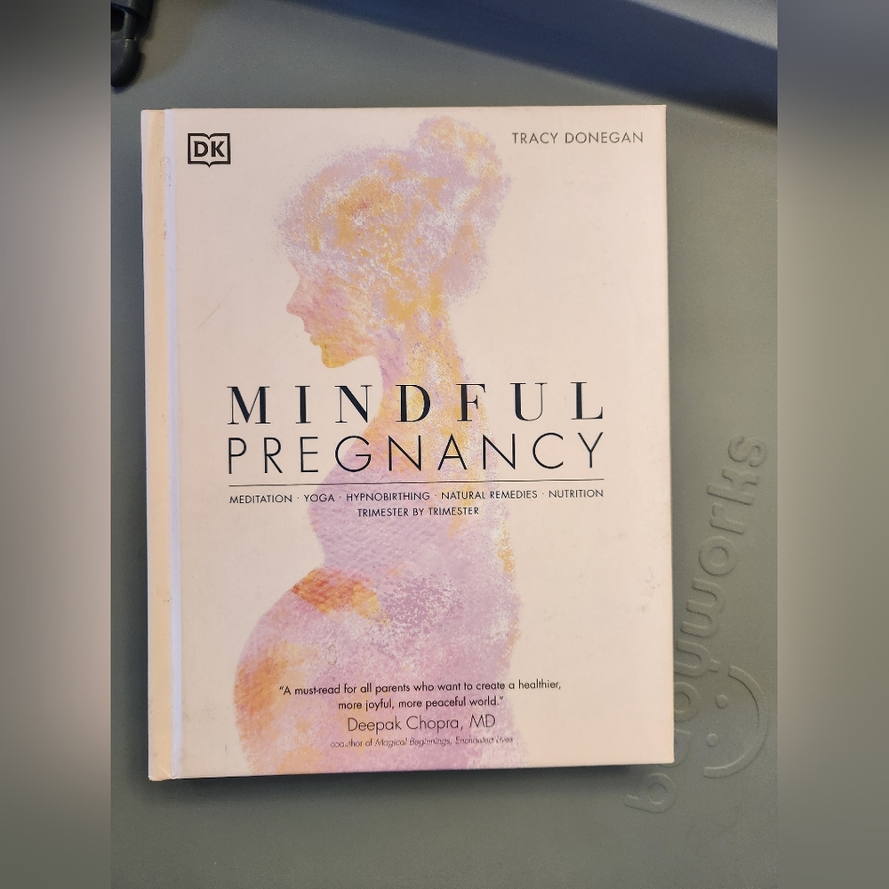 Mindful Pregnancy Book